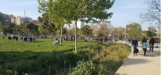 CEN trabaja en estandarizar la terminología asociada a las soluciones basadas en la naturaleza